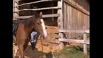 Amatoriale dalle grandi tette fa un pompino in gola profonda in un video hardcore