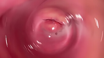 Intimate Pov Of A Tight Vagina And Creampie