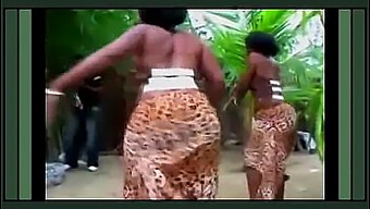 Twerk Africano Com Tremores Sexy E Calcinhas